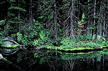 Upper Snow Lake Reflection